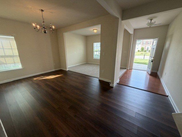 Gallery Photo 11